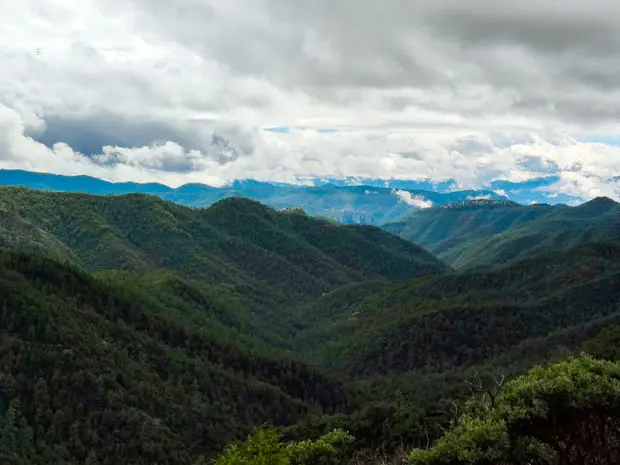 Paisaje de la Sierra Madre Oriental con vegetación característica.