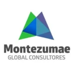 Montezumae Global Consultores